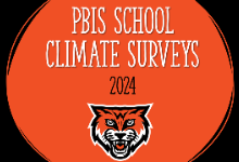 pbis surveys