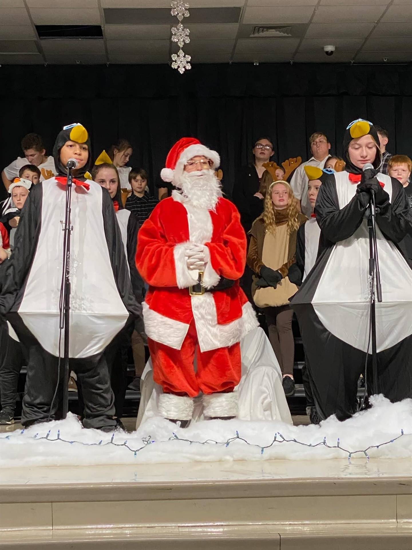 How the Penguins Saved Christmas 