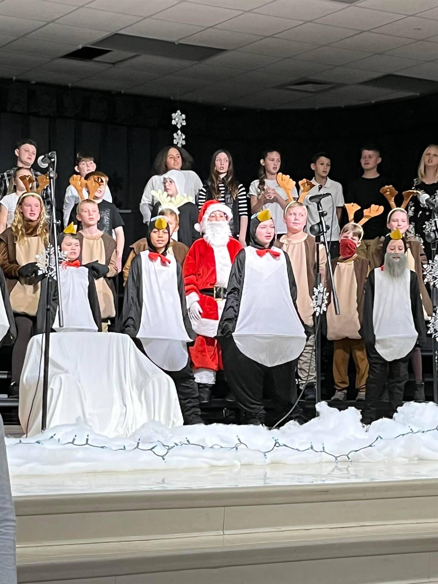 How the Penguins Saved Christmas 