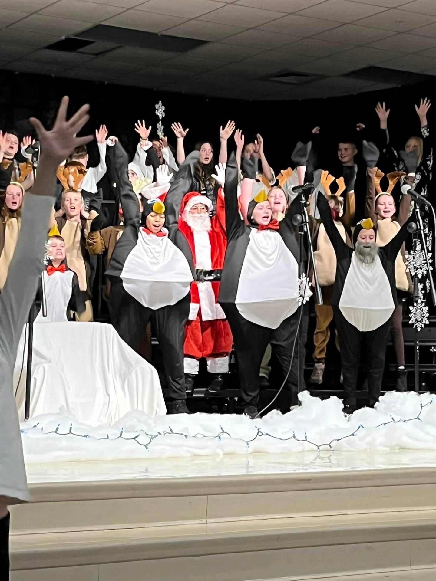 How the Penguins Saved Christmas 