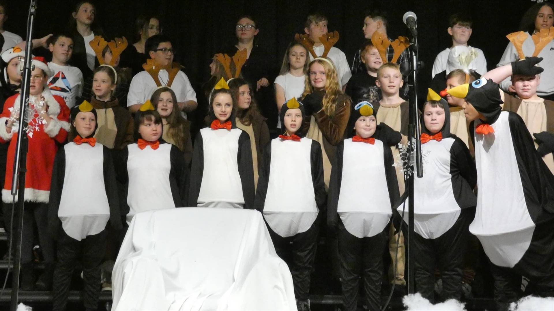 How the Penguins Saved Christmas 