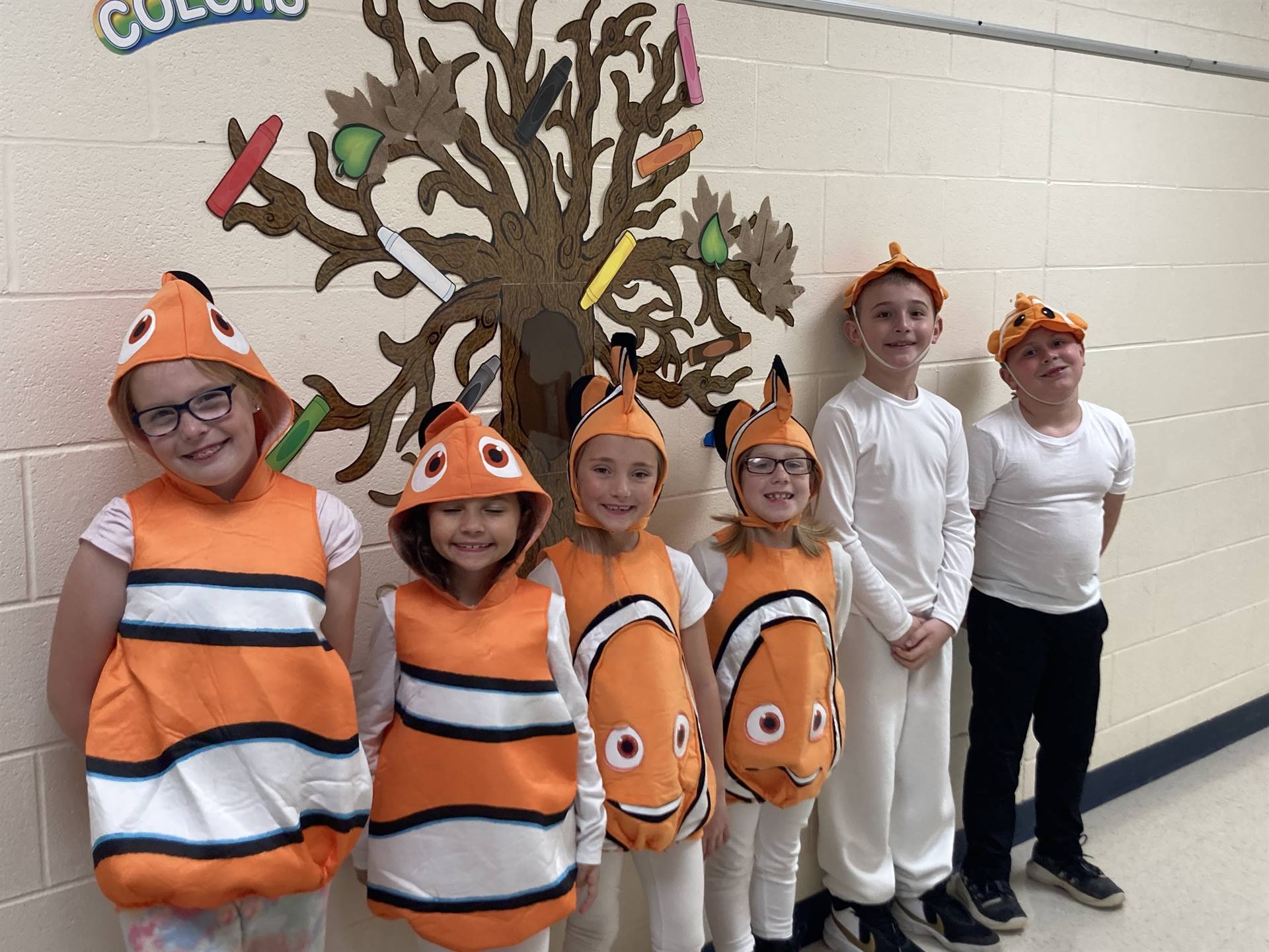 Clown Fish 